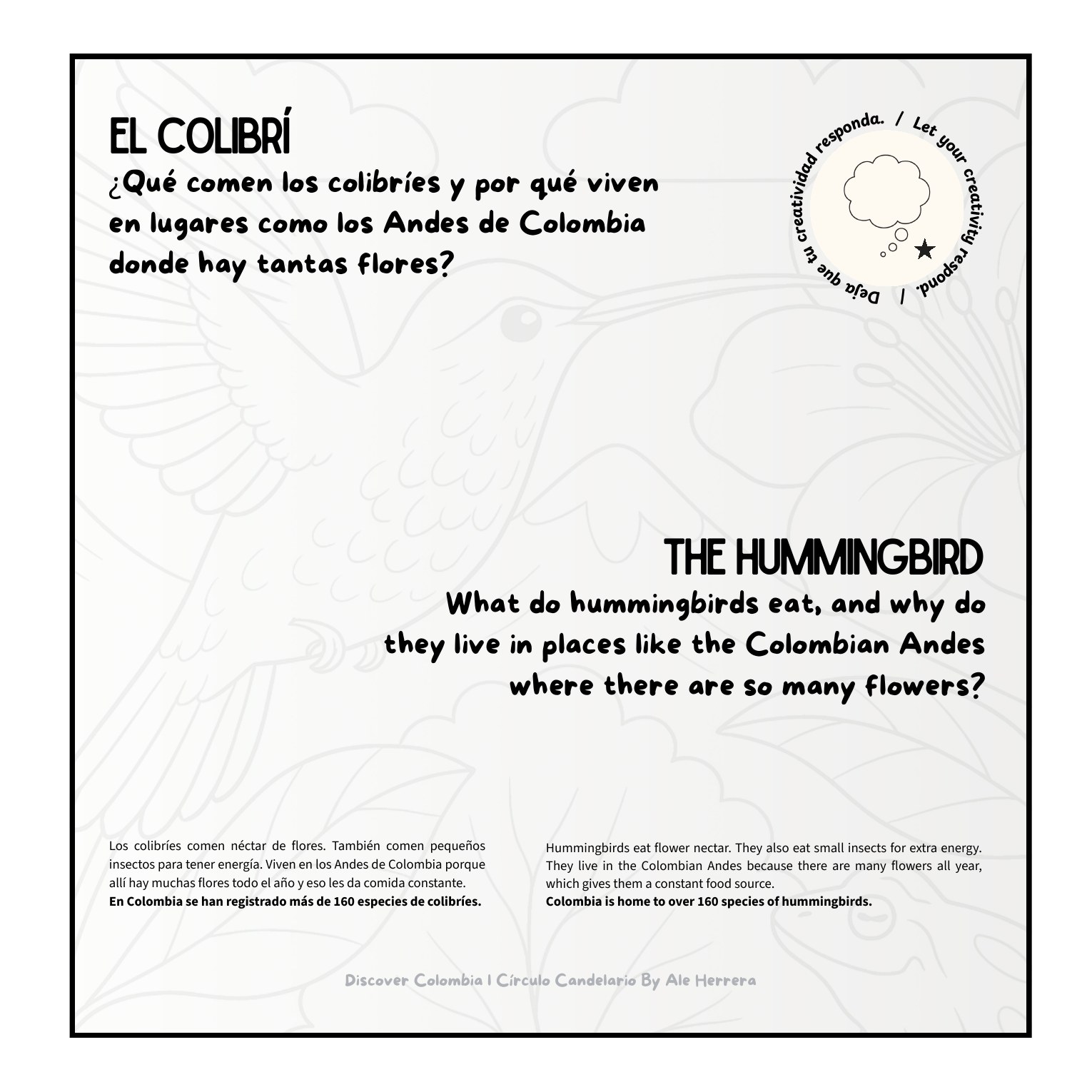 Historia bilingüe del colibrí con pregunta de reflexión